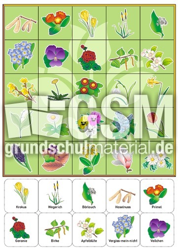 BG_Blumen_Plan_gruen.pdf